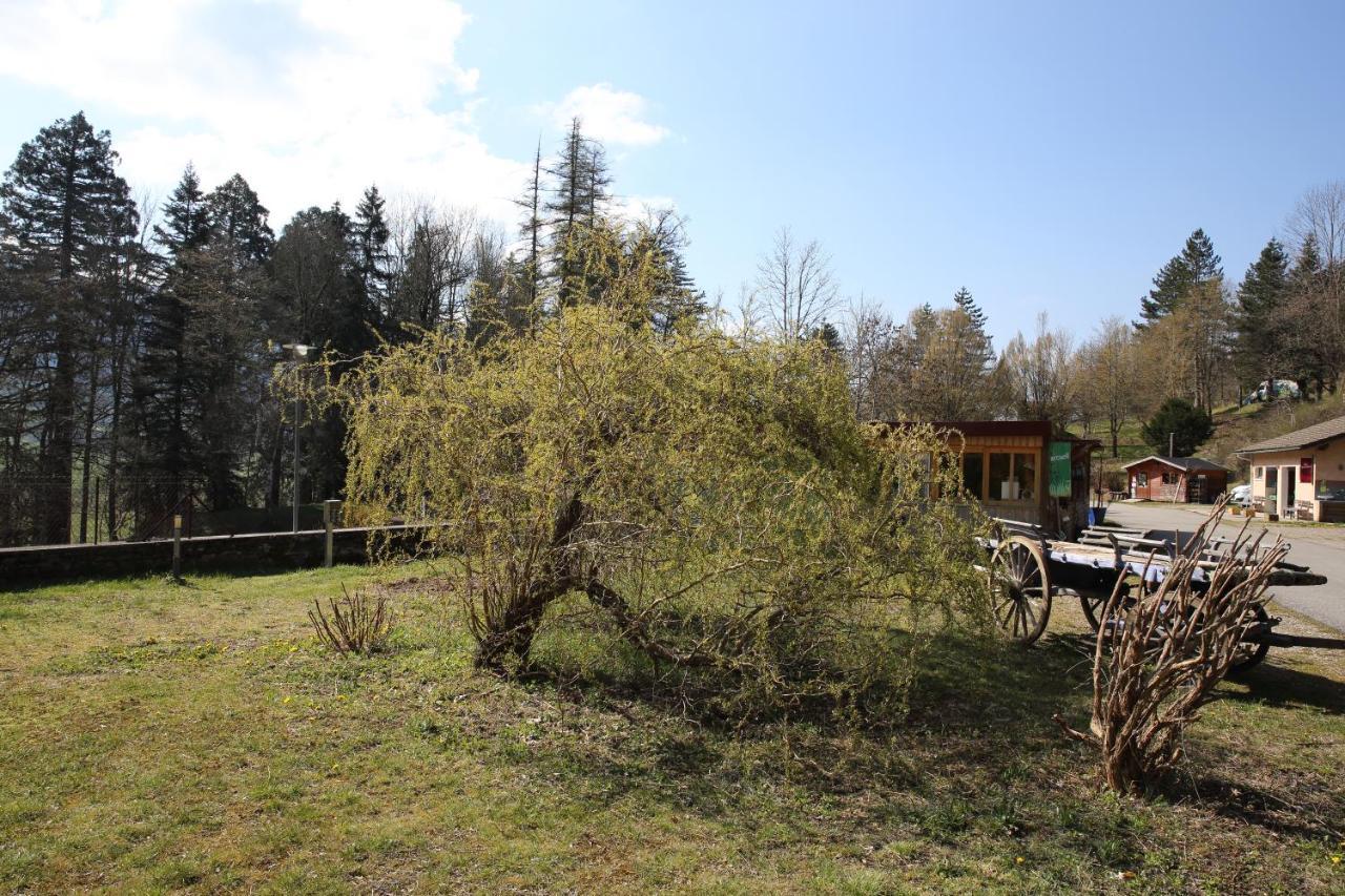Le Veymont Villa Saint-Martin-en-Vercors Exteriör bild